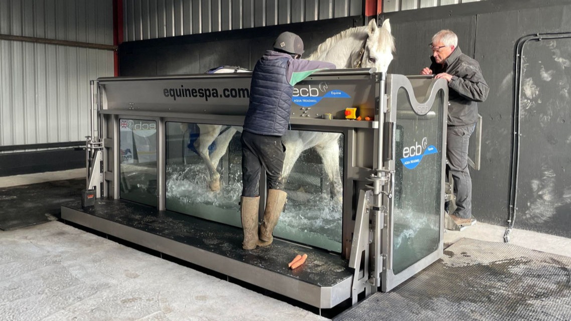 Equine Water Treadmill