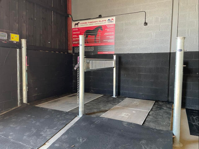 Equine vibration therapy