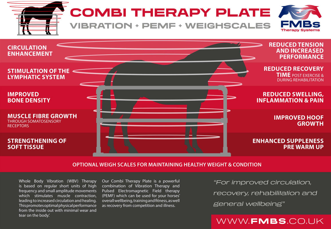 FMB Combi Floor vibration therapy