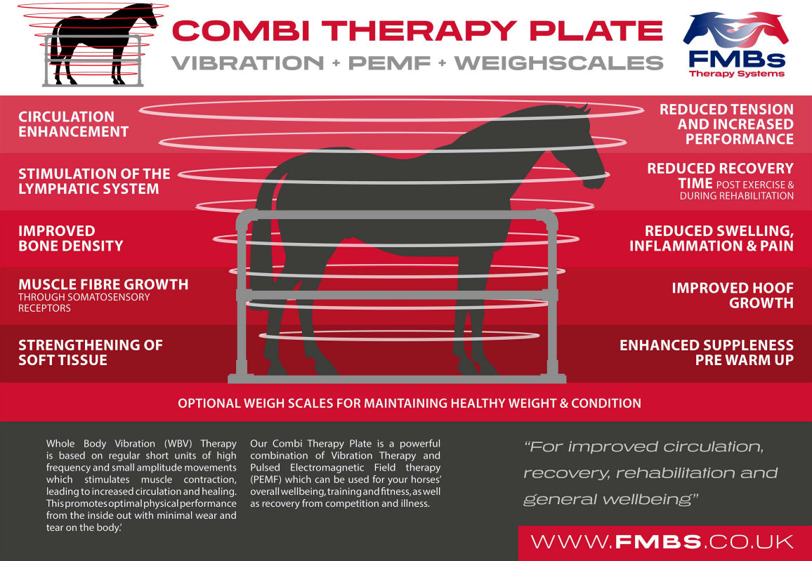 FMB Combi Floor vibration therapy 